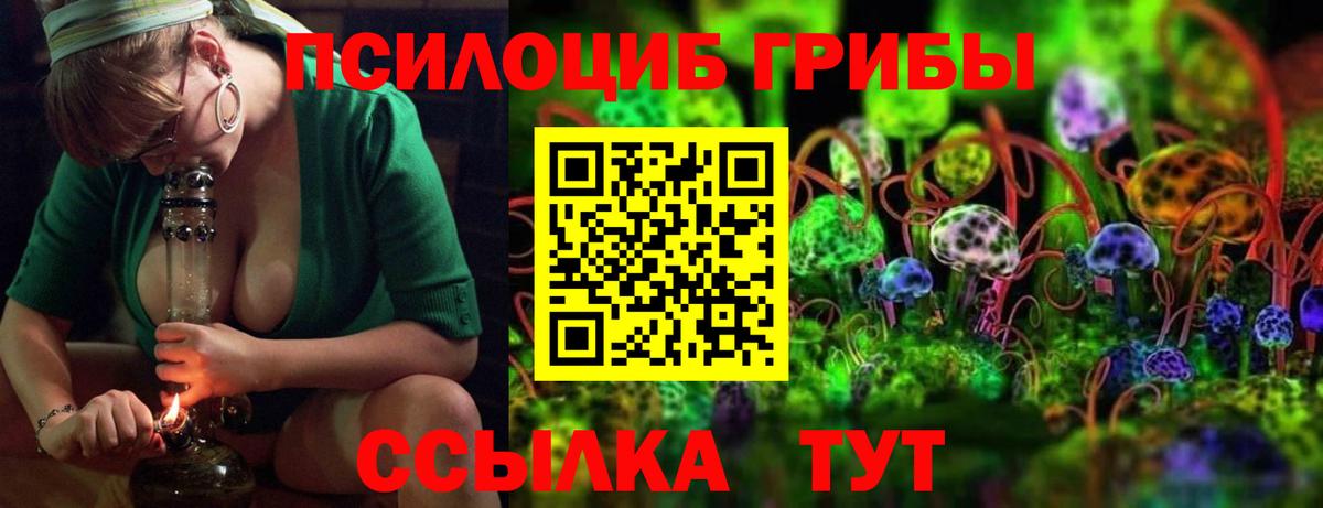 Псилоцибиновые грибы Cubensis Елизово